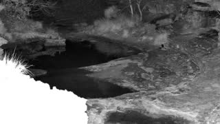 Still 1 from this detection