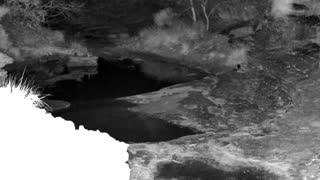 Still 1 from this detection