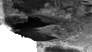 Still 1 from this detection