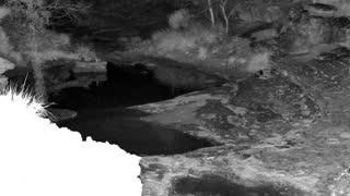 Still 1 from this detection