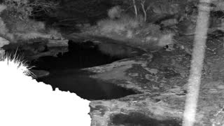 Still 1 from this detection