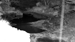 Still 1 from this detection