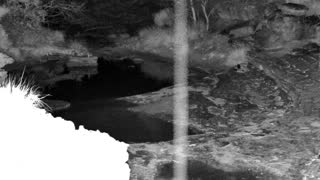 Still 1 from this detection