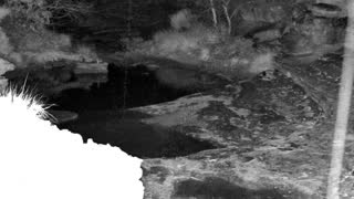 Still 1 from this detection