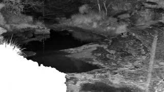 Still 1 from this detection