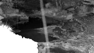 Still 1 from this detection