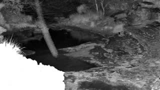 Still 1 from this detection