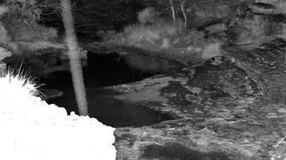 Still 1 from this detection
