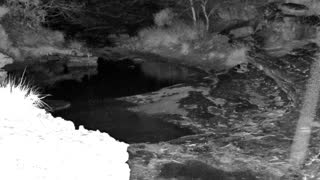 Still 1 from this detection