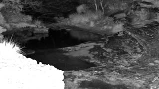 Still 1 from this detection