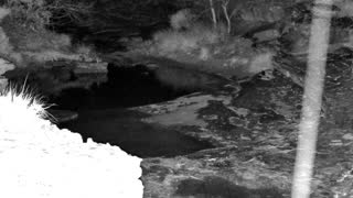 Still 1 from this detection