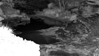Still 1 from this detection