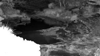 Still 1 from this detection