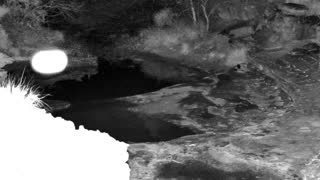 Still 1 from this detection