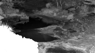 Still 1 from this detection