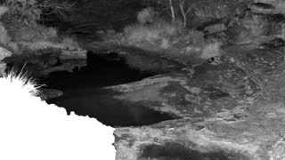 Still 1 from this detection