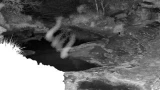 Still 1 from this detection