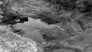 Still 1 from this detection