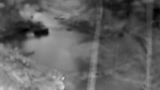 Still 1 from this detection