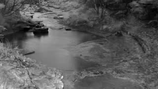 Still 1 from this detection