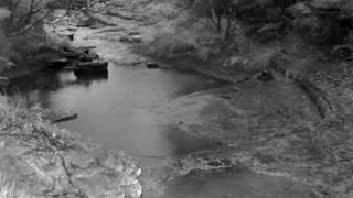 Still 1 from this detection