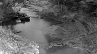 Still 1 from this detection