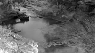 Still 1 from this detection