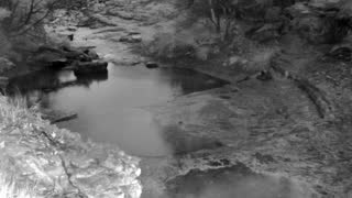 Still 1 from this detection