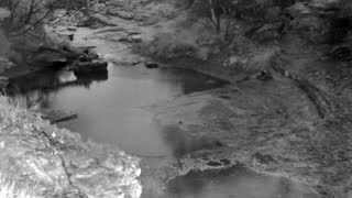 Still 1 from this detection