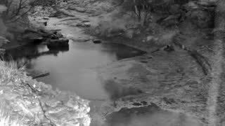Still 1 from this detection