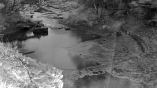 Still 1 from this detection