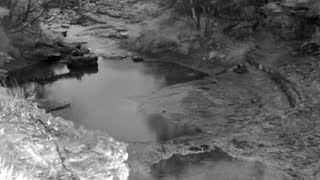 Still 1 from this detection
