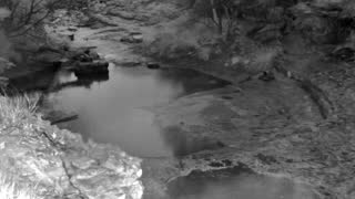 Still 1 from this detection
