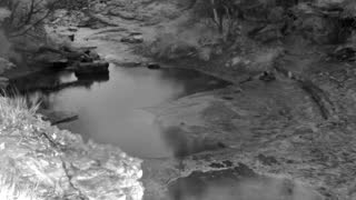 Still 1 from this detection