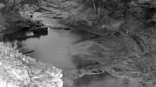 Still 1 from this detection