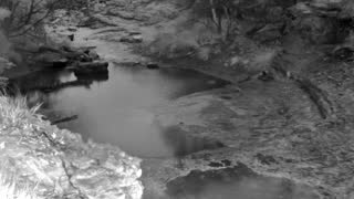 Still 1 from this detection