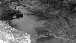 Still 1 from this detection