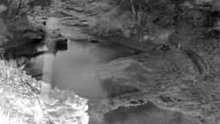 Still 1 from this detection