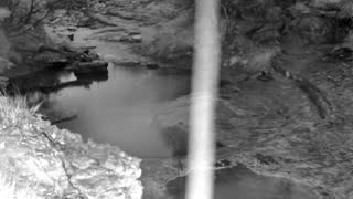 Still 1 from this detection