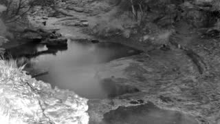 Still 1 from this detection