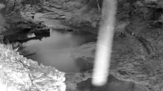 Still 1 from this detection