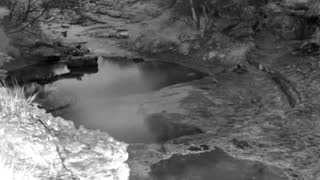 Still 1 from this detection