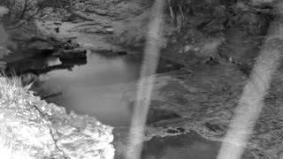 Still 1 from this detection