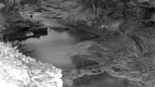 Still 1 from this detection