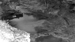 Still 1 from this detection