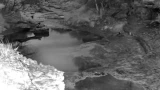 Still 1 from this detection