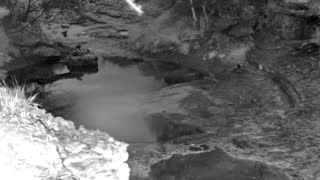 Still 1 from this detection