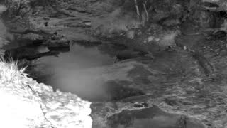 Still 1 from this detection