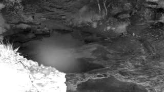 Still 1 from this detection