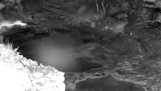 Still 1 from this detection